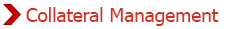 Collateral Management