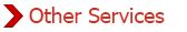 Other Services
